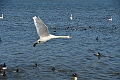 13 04 14_2953_edited-1